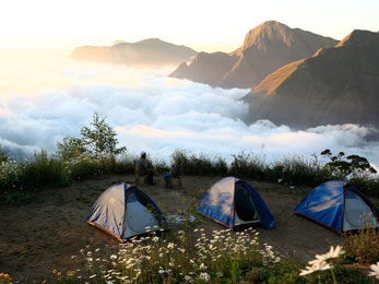 Tent Stay at Munnar hills