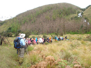 Munnar Trekking Experience