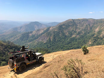 Jeep Safari