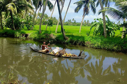 Alleppey Village