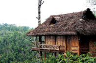 Aranyakam Homestay, Wayanad