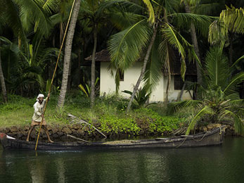 Backwater Cruises