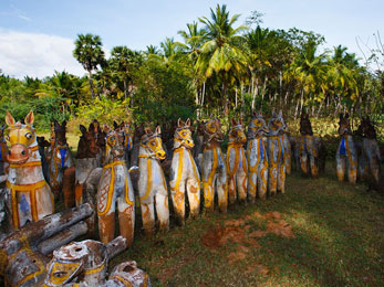 Visit The Terracotta Horses at Ayyanar Temple