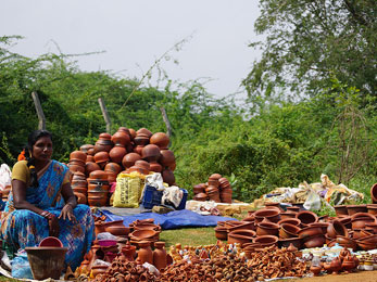 Local Market Visits