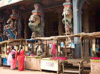 Temple Visits