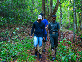 Nature Trek In Periyar Tiger Reserve