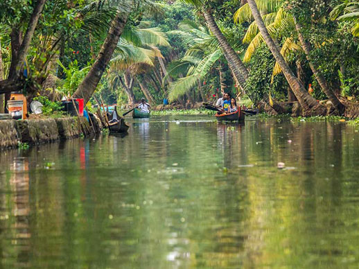 Houseboat Cruise experience in Alappuzha