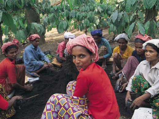 Kerala Village people
