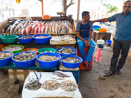 Fish Market