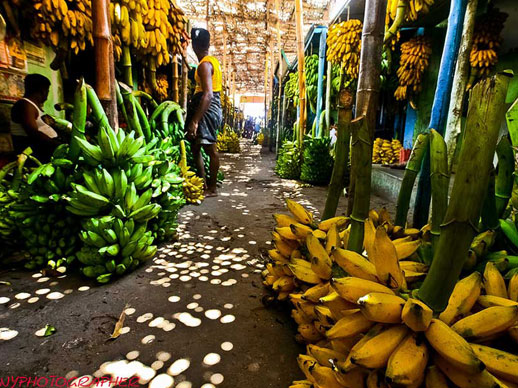 Market in South India