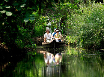 Alappuzha Backwater