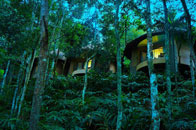 Poetree Resort