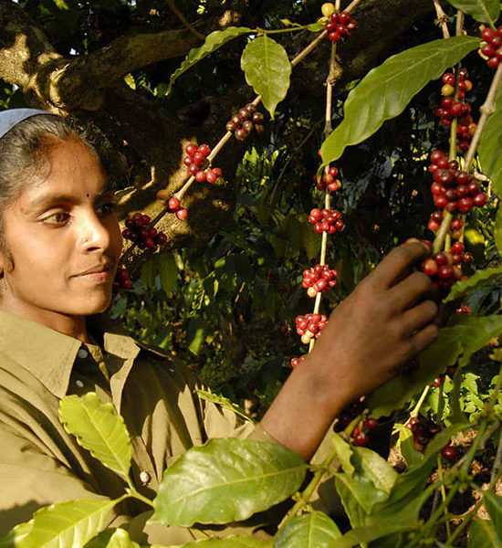 Coorg Local peoples