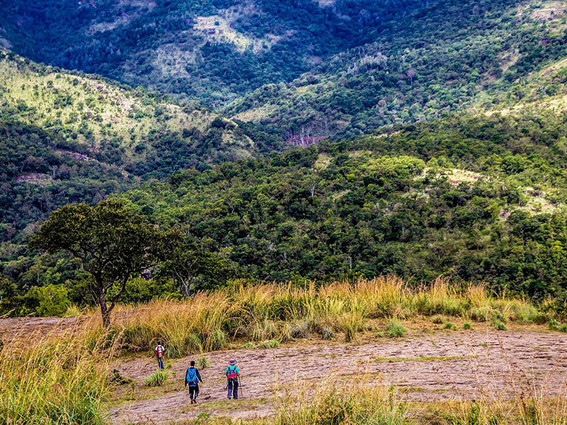 Hill Hiking