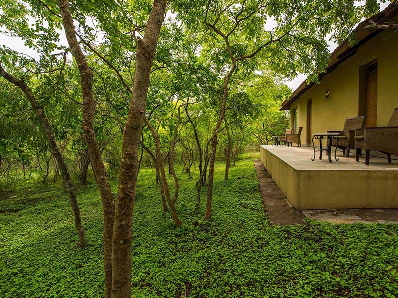 Windflower Resort Bandipur