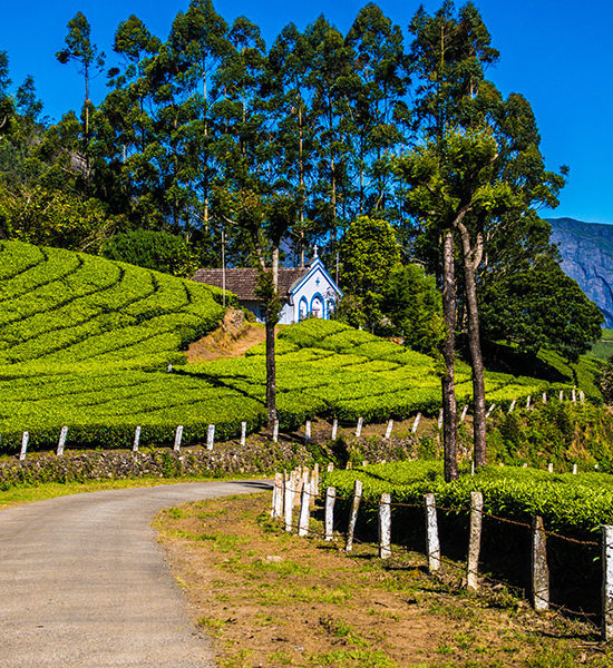 Munnar