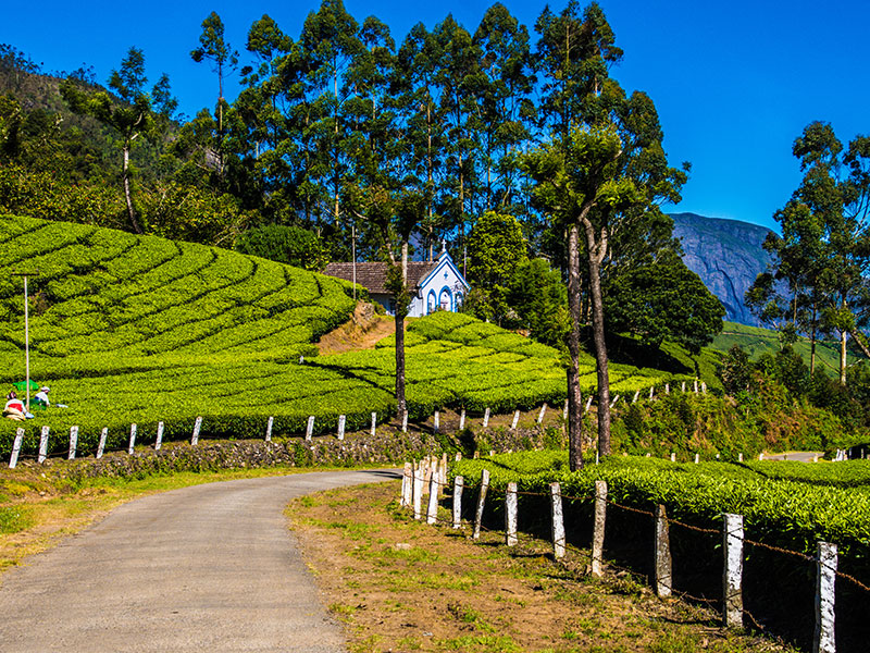 Munnar