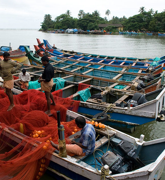 Tellicherry Fishing