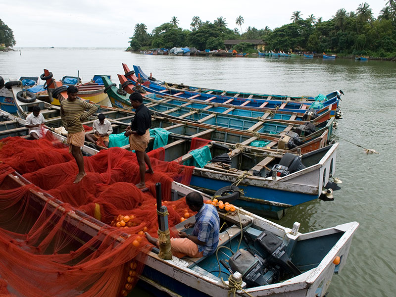 Tellicherry Fishing