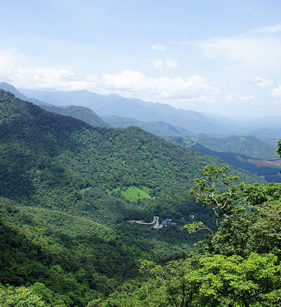 Wayanad