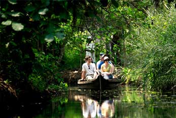 Cruising the Backwaters of Kerala